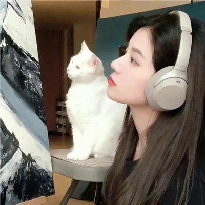 婉丽